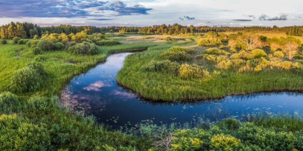 Pajaka Vardi looduskaitseala