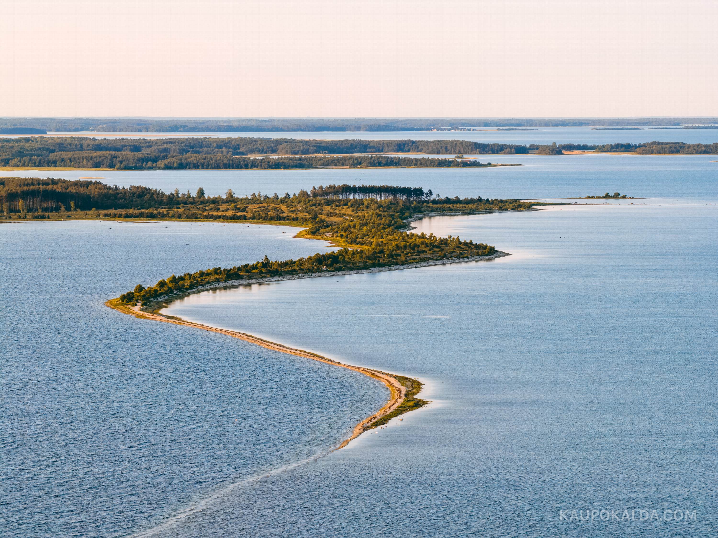 Sääretirp teisipidi