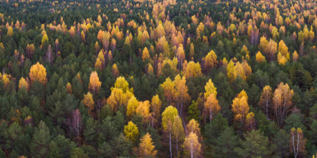 Sügisvärvid Kakumäel