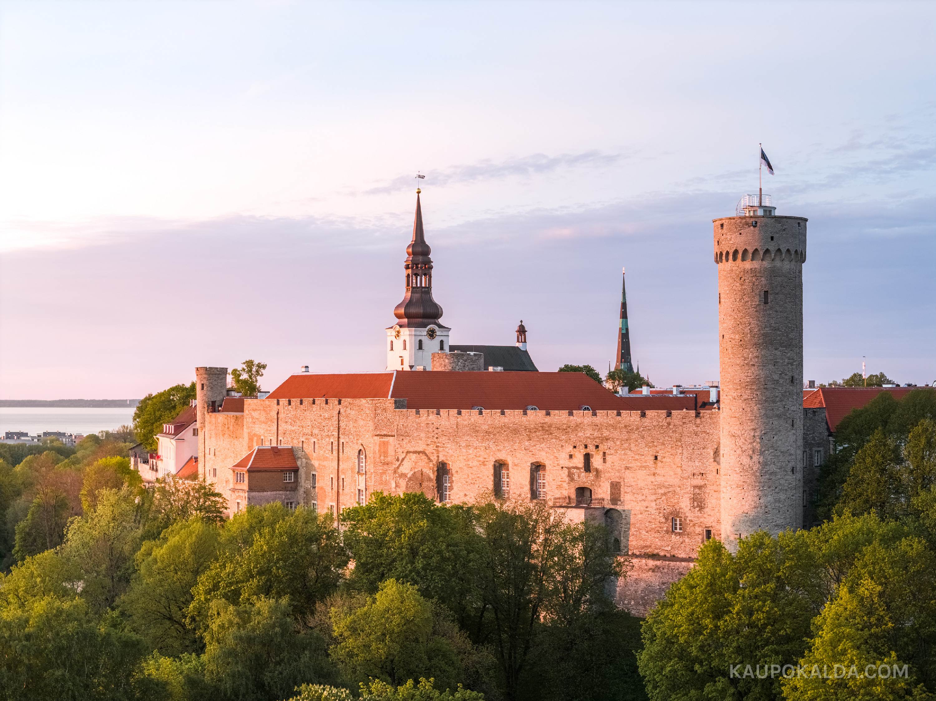 Pikk Hermann ja Toompea loss