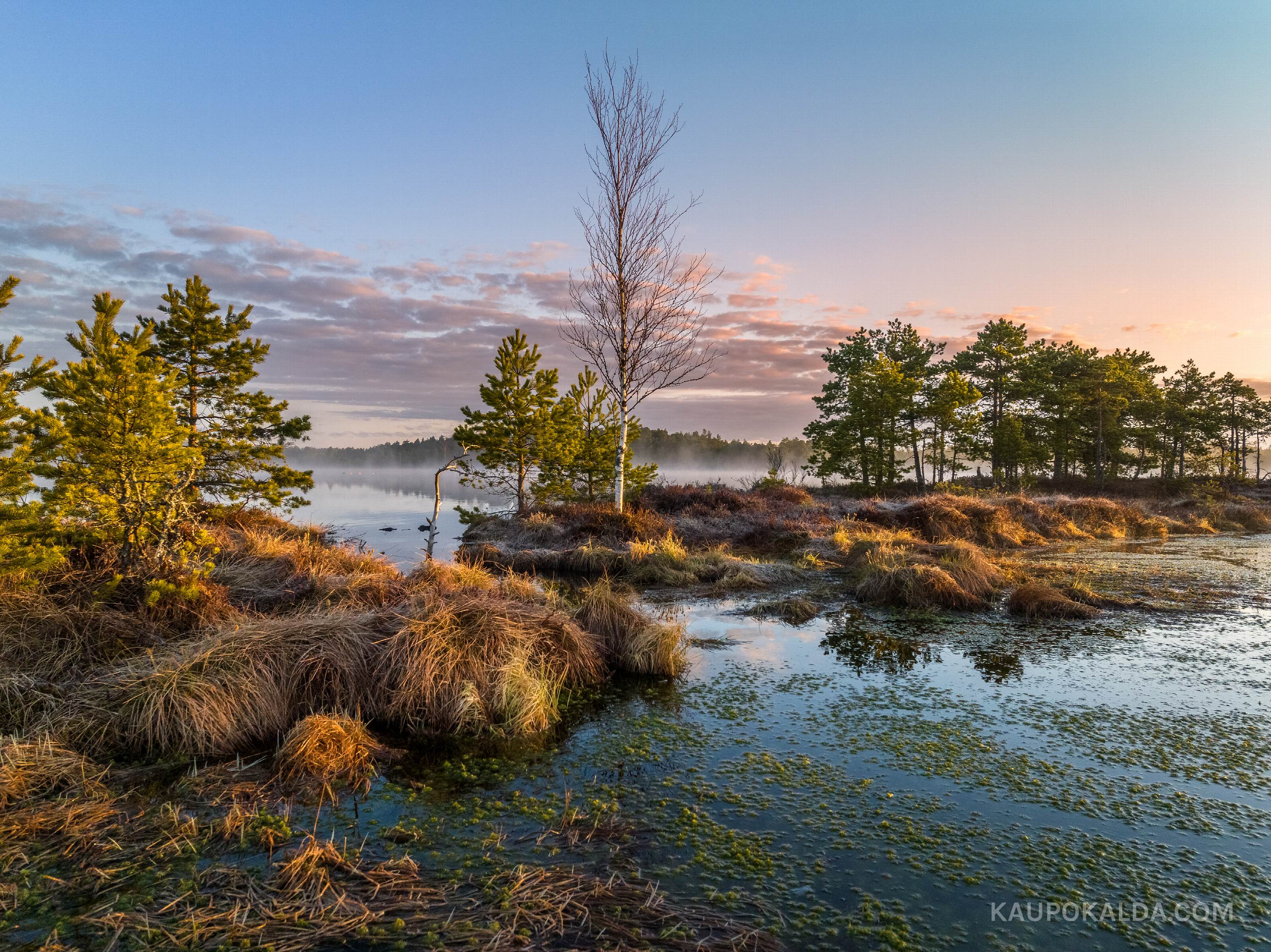 Hommik Kakerdaja rabas
