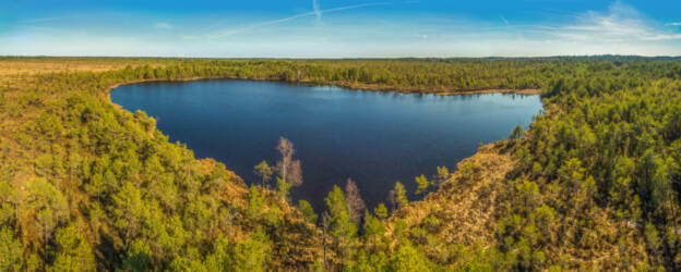 Jalase järv