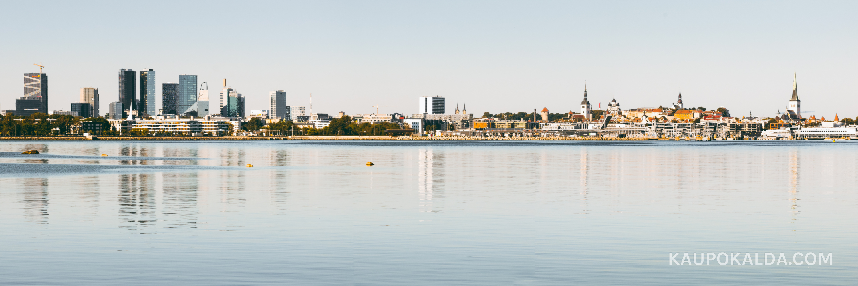 2 x kilukarbisiluett