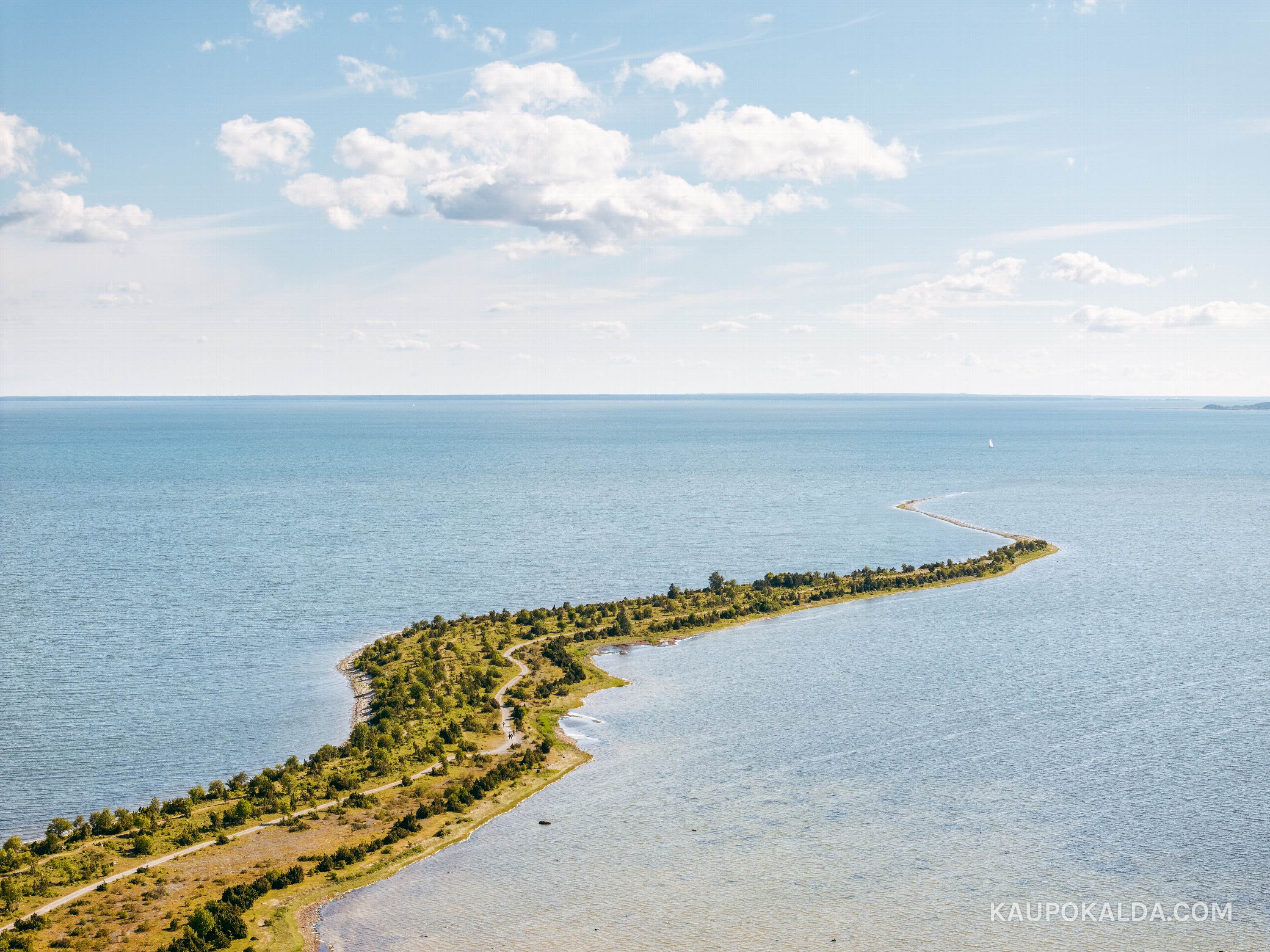 Sääretirp ja purjekas