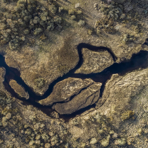 Pajaka maastikukaitseala kevadel