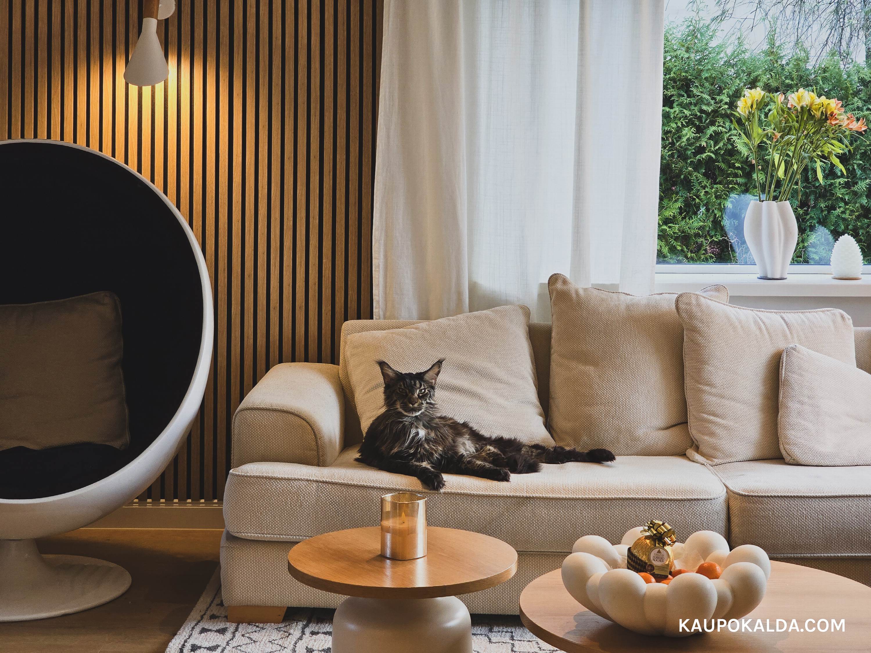 Kodukontor võib olla nii kabinet kui diivan kassiga